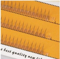 Natural Hair False Eyelashes
